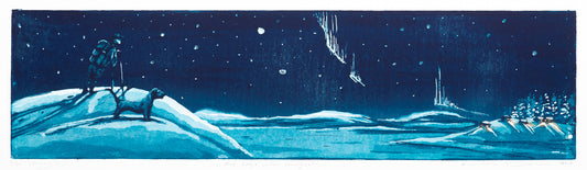 Med bikkja under nordlyset, 2019, Kristian Finborud